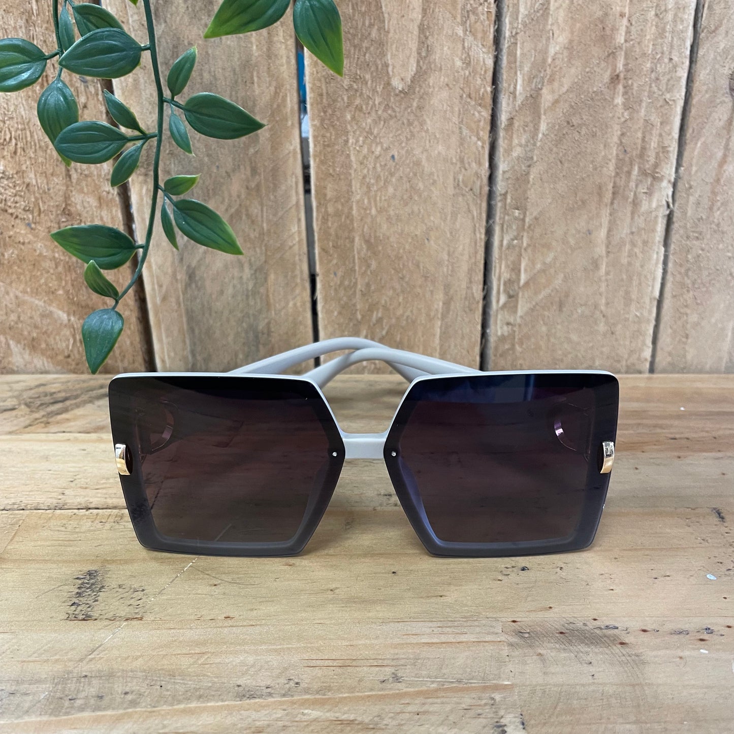 Square Sunglasses